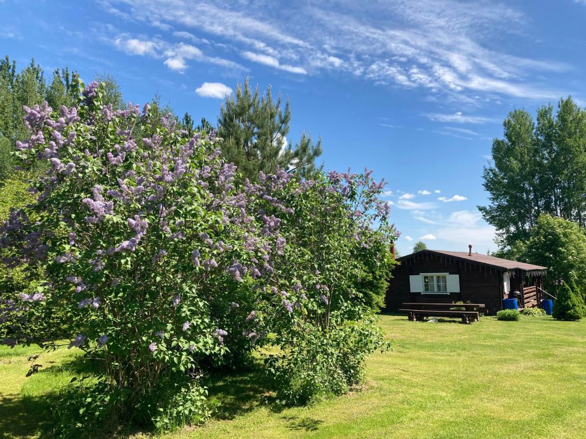 Pikkjaerve Puhkemaja Villa Tilsi Exterior foto