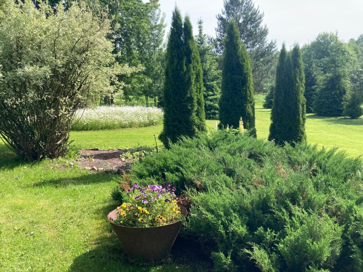Pikkjaerve Puhkemaja Villa Tilsi Exterior foto