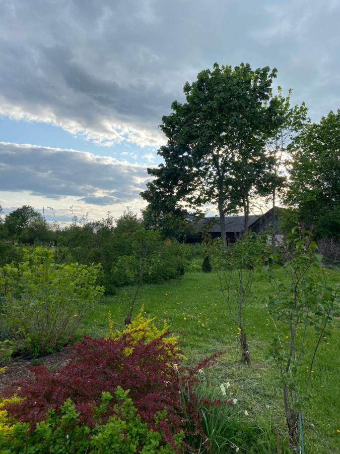 Pikkjaerve Puhkemaja Villa Tilsi Exterior foto